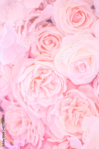 beautiful flowers on the wall