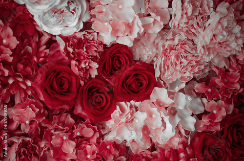 beautiful flowers on the wall
