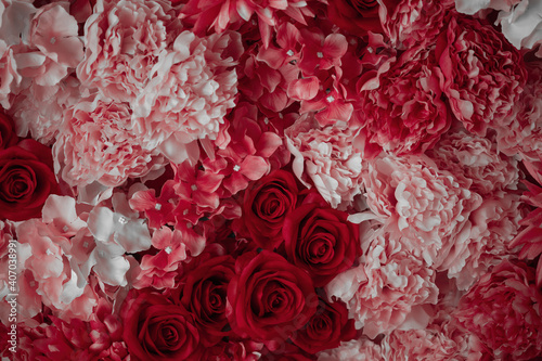 beautiful flowers on the wall