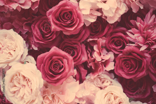 beautiful flowers on the wall