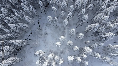 ein tief verschneiter wald aus der vogelperspektive draufsicht bei eisig kalter athmosphäre