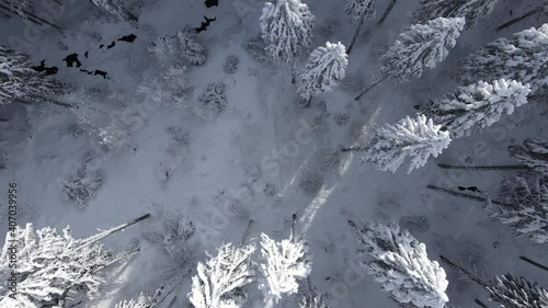 ein tief verschneiter wald aus der vogelperspektive draufsicht bei eisig kalter athmosphäre