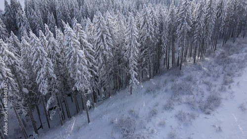 ein tief verschneiter wald aus der vogelperspektive draufsicht bei eisig kalter athmosphäre