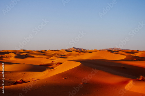 Desert dunes at sunset time with blue sky.