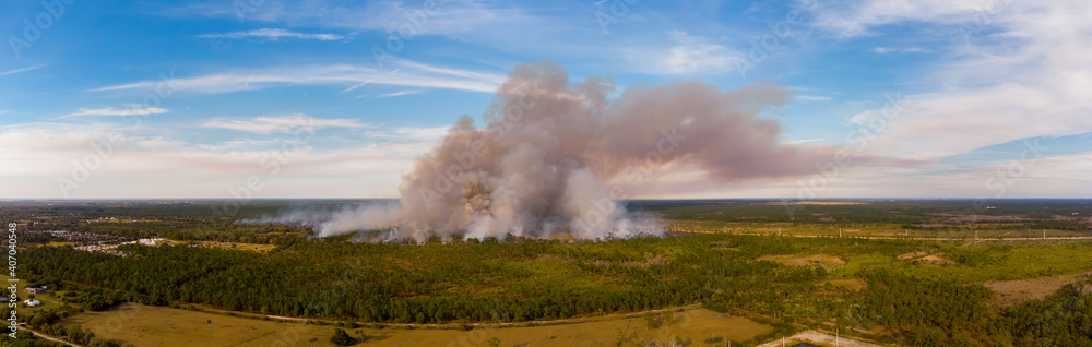 Aerial panorama controlled forest burn in woods