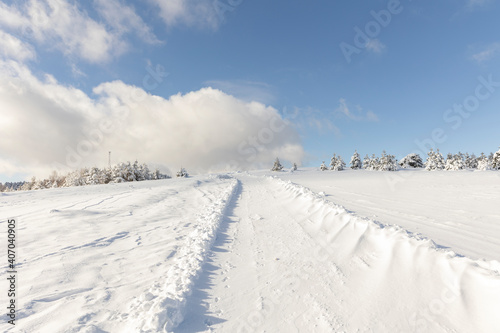 winter mountain landscape. Road that leads into the pine forest covered with snow