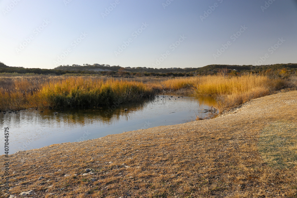 A small pond in a Texas prairie with the reflection of autumn colored native grass, in Dana Peak Park Central Texas Hill Country.