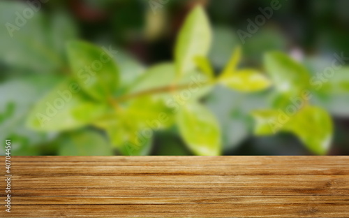 nice leaves background with wooden table