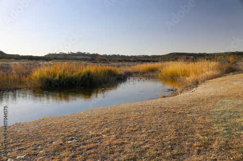 A small pond in a Texas prairie with the reflection of autumn colored native grass  in Dana Peak Park Central Texas Hill Country.