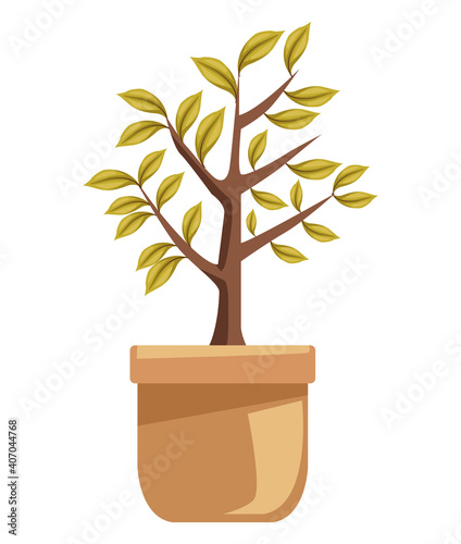 tree plant in ceramic pot icon