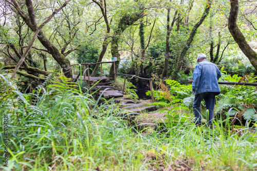  an older man making a route through the forest. They follow a hiking route through the Galician forest