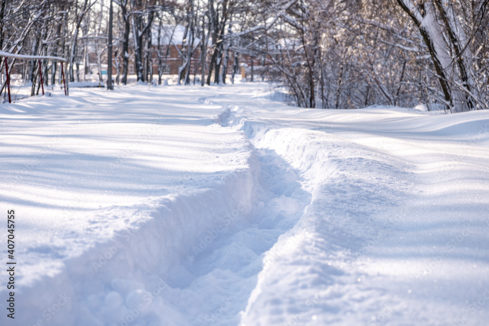 Snowdrifts path in the forest after massive snow storm Snowdrifts path in the forest after massive snow storm