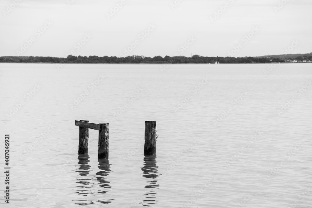 Wooden piles in the water. Lake Jamno, Mielno, Poland. Black and white. 