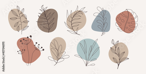 Vector abstract organic story highlight cover templates isolated on white background. Botanical illustration in neutral earth tone colors. Hipster design elements set