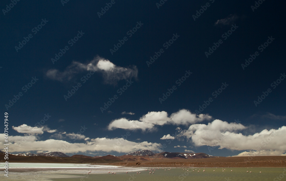 Alpine landscape and environment. Beautiful view of the natural salt flat, Lake Laguna Brava and the Andes mountains under a deep blue dramatic sky. 