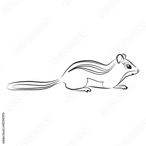 chipmunk, silhouette, animal, cartoon, standing, sitting, rodent, squirrel, striped, forest, woodland, nature, wild, wildlife, zoo, outdoor, european, north american, north, siberian, canadian, tundra