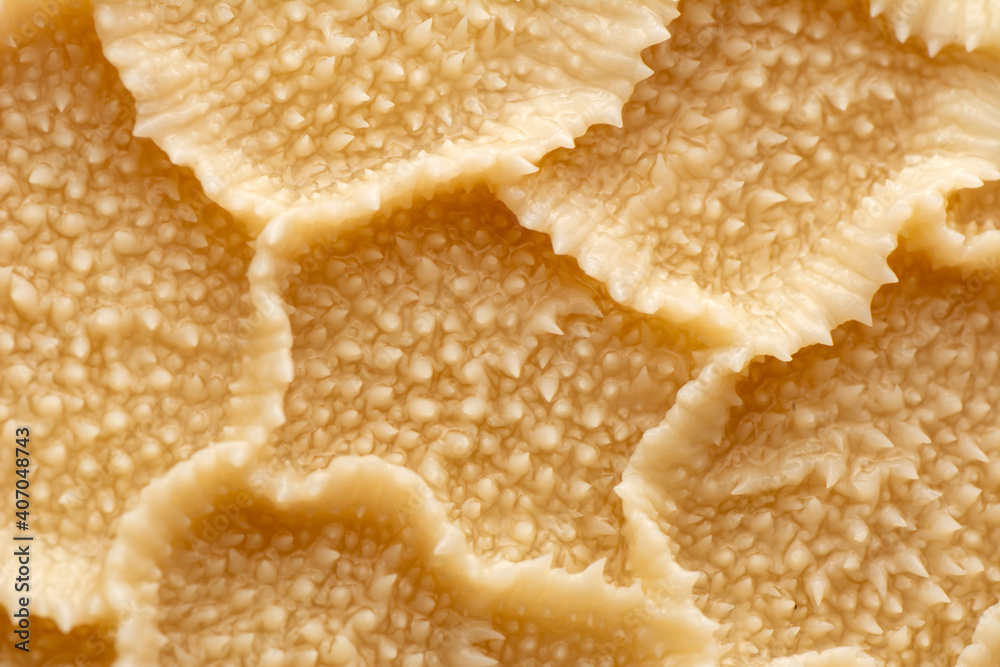 Close up cooked tripe on a white background


