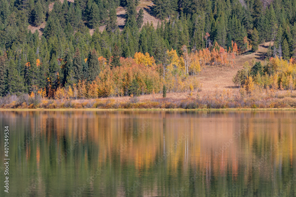 Obraz premium Scenic Reflection Landscape in Two Oceans Lake Wyoming in Autumn