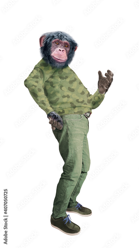 chimpanzé, singe, déguisé, en homme, , drôle , militaire, blanc, jeune, portrait, armée, gens, garçon, gars, personne, pul, rouge, jaune, bleu, jaune, debout, uniforme, camouflage, mode, main, jean, chimpanzé, singe, déguisé, en homme, , drôle , militaire, blanc, jeune, portrait, armée, gens, garçon, gars, personne, pul, rouge, jaune, bleu, jaune, debout, uniforme, camouflage, mode, main, jean,