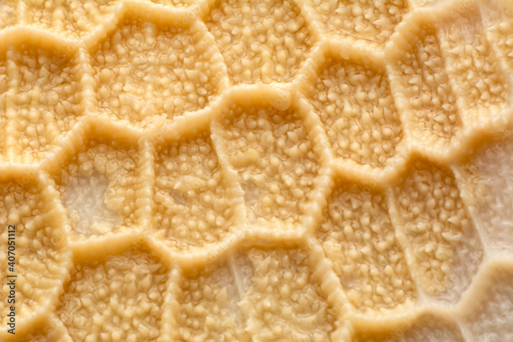 Close up cooked tripe on a white background

