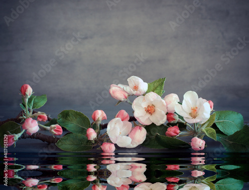 Spa stones and pink flowers on grey background with water.