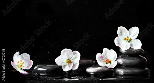 Spa stones and white flowers on black background with water.