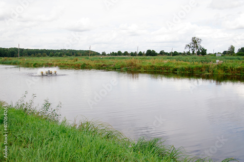 Fish feeders in the wildlife pond photo