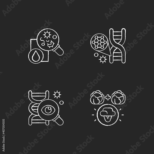Microbiology chalk white icons set on black background. Genetic engineering. DNA structure. Selective breeding. Genetic research. Laboratory research. Isolated vector chalkboard illustrations