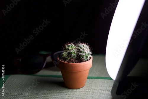 SAD daylight lamp with cactus and sunglasses. Stay at home concept so called 