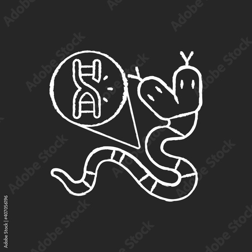 Genetic mutation chalk white icon on black background. Genome sequence with damage. Gene manipulation. DNA structure of animal. Science experiment. Isolated vector chalkboard illustration