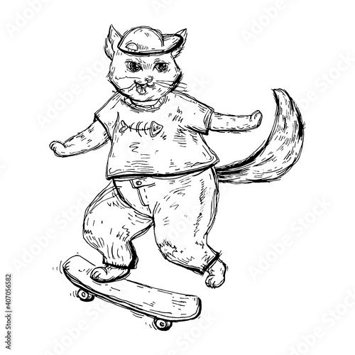 Cat in t-shirt, jeans and cap is riding a skateboard.