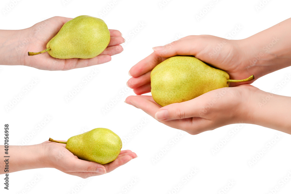 Green pear isolated on white background in woman hands. Green pear isolated on white background in woman hands.