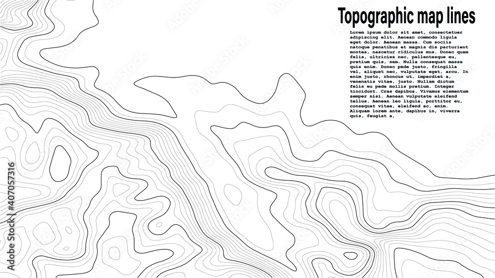 Topographic map lines white background with text.Vector illustration.Terrain area Topographic map lines white background with text.Vector illustration.Terrain area
