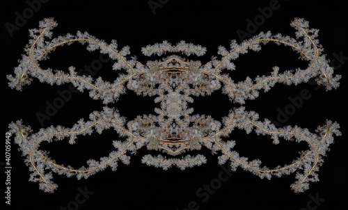 Beautiful abstract ornament on the black background