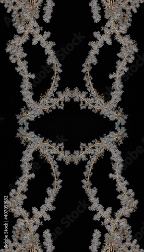 Abstract nice ornament on the black background