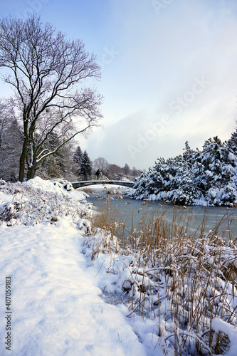 Amazing winter view of the pond. City park in winter scenery. Beautiful little pond in winter.