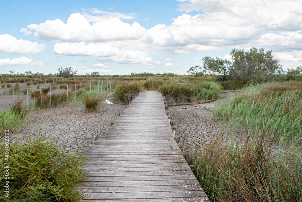 Vue d'un sentier au milieu des étangs et des marais en Camargue, réserve naturelle protégée du sud de la France.