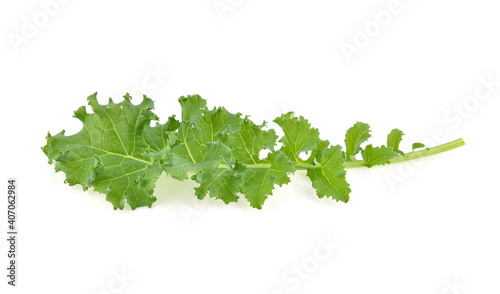 kale leaves isolated on white