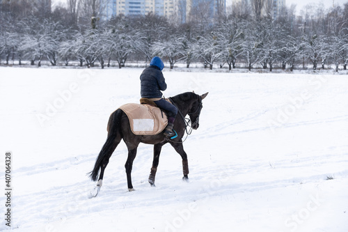 rideron horse walking through snowy landscape