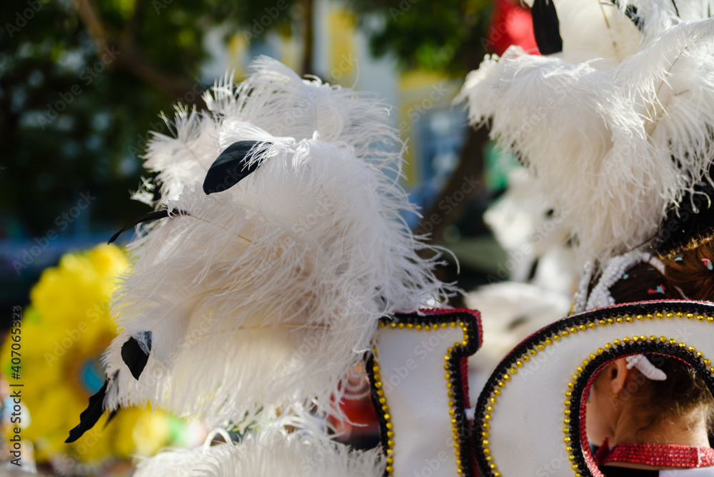 Dancers wearing colorful feathers costumes gathered for a parade. Back