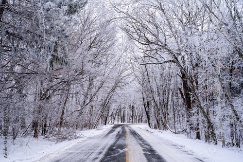 Winter road covered in snow and ice with a canopy of frosty trees. Taken in Scandia, Minnesota © MelissaMN