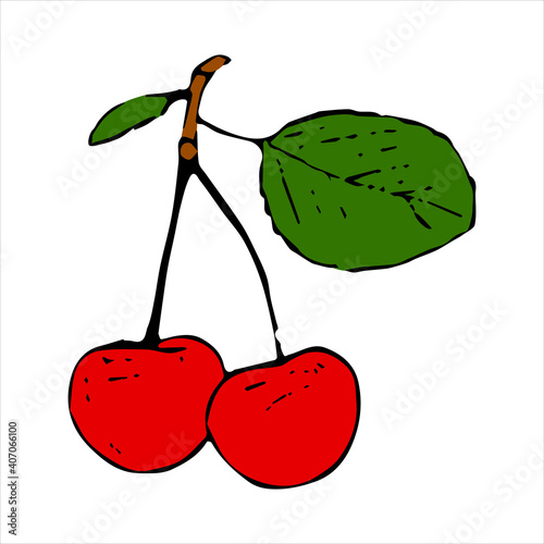 Cherry, sweet cherry. Great design for any purposes. Line art. Vintage card for decorative design. Vector hand drawing. Line drawing. Natural template design. Isolated vector.