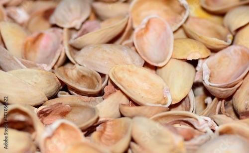 Natural background of pistachio shell or sea beach with shells concept of environmental protection and sorting garbage with selective focus