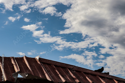 Dos palomas sobre un techo adelante de un cielo azul