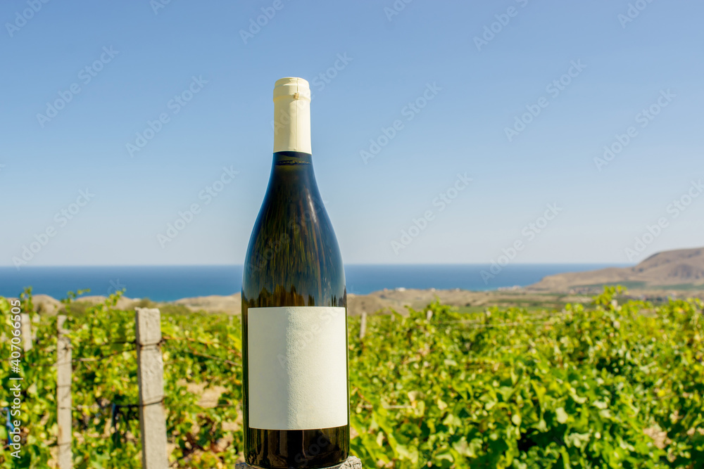 Wine bottle on nature background