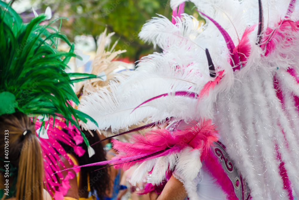 Dancers wearing colorful feathers costumes gathered for a parade. Back