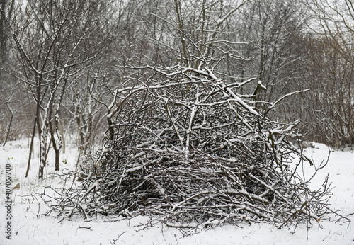 Winter landscape: A bunch of branches