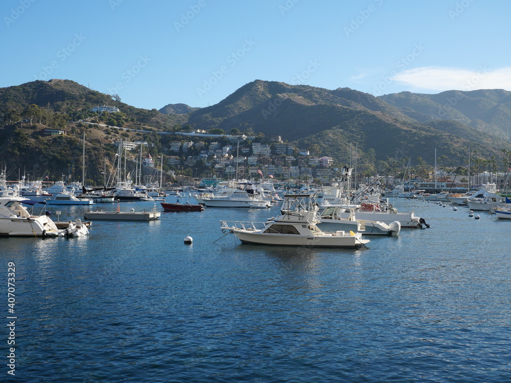 Boats in Catalina Island