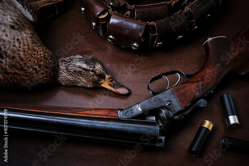 Hunting still life with wild duck, bandolier and Sauer smoothbore hunting rifle