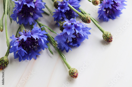 spring flowers. small bouquet of blue cornflowers on a white background